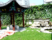 海亚大厦屋顶花园